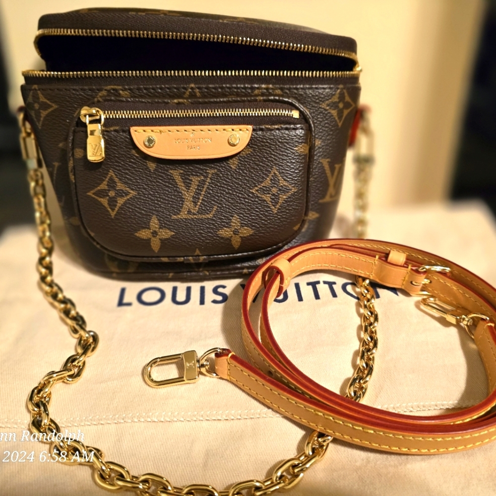 LV Mini Bum Bag